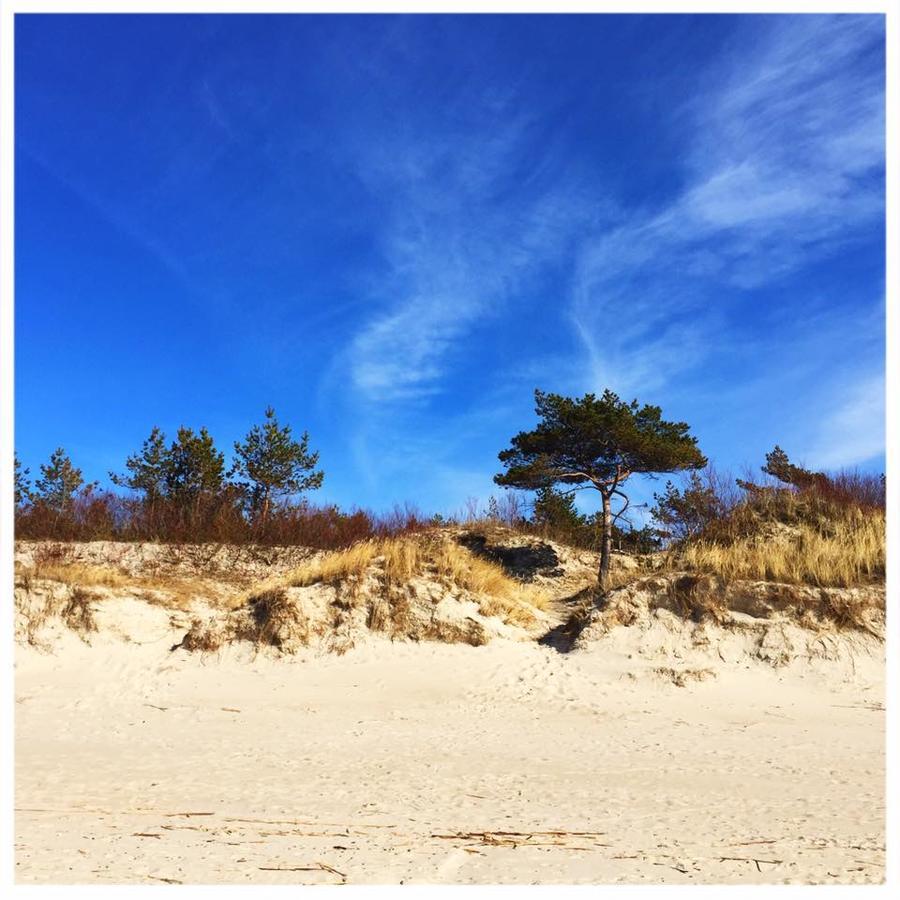 Vitavila Palanga Bagian luar foto